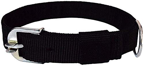 Homenique Nylon Collar For Medium And Large Dogs (1.25Inch) Multi Color