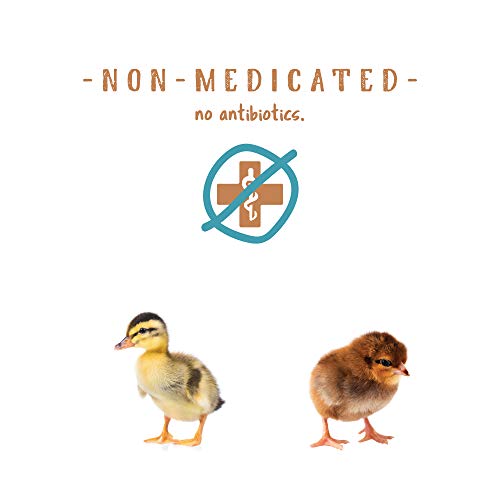 Manna Pro Non-Medicated Starter Crumble Feed for Chicks & Ducklings|Formulated with Vitamins & Minerals|5 Pounds