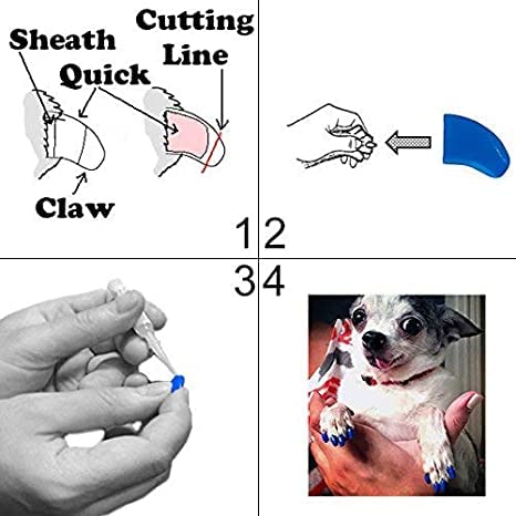 Pretty Claws 60 Piece Soft Nail Caps With Adhesive For Dog Claws - Crystal Clear Jumbo