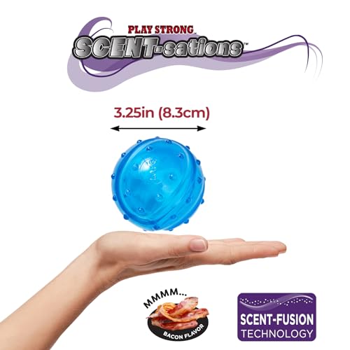 SPOT Play Strong Scent-sations Ball - Durable TPR Rubber, Bacon Flavored, 3.25in, Blue, Heavy Duty Dog Toy for Aggressive Chewers