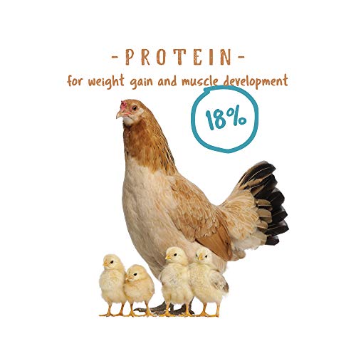 Manna Pro Non-Medicated Starter Crumble Feed for Chicks & Ducklings|Formulated with Vitamins & Minerals|5 Pounds