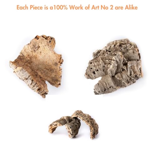Gal  pagos (05501) Natural Cork Bark for Reptiles - Ideal for Bearded Dragons, Snakes, and Geckos - Climbing Accessory for Terra