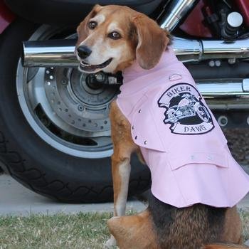 Doggie Design Biker Dawg Motorcycle Dog Jacket (X-Large, Black)