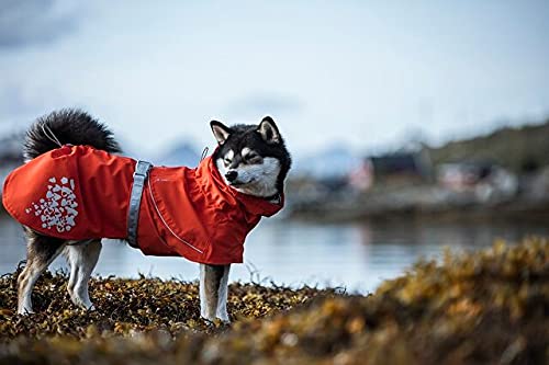Hurtta Monsoon Coat Eco, Dog Raincoat, Rosehip, 26 In