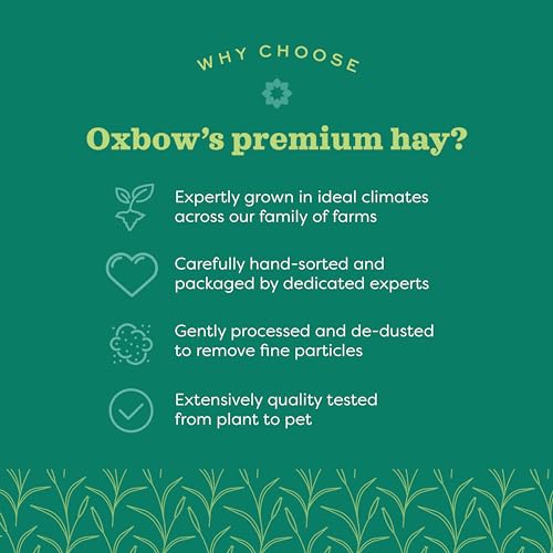 Oxbow Animal Health Western Timothy Hay- Veterinarian Recommended- Hay for Rabbits, Chinchillas, Guinea Pigs & Other Small Pets-