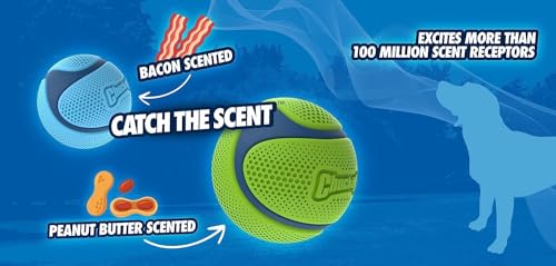 Chuckit! Sniff Ball Dog Toy, Durable High Bounce Peanut Butter Scented Rubber Dog Ball Fetch Toy, Medium, 1 Pack