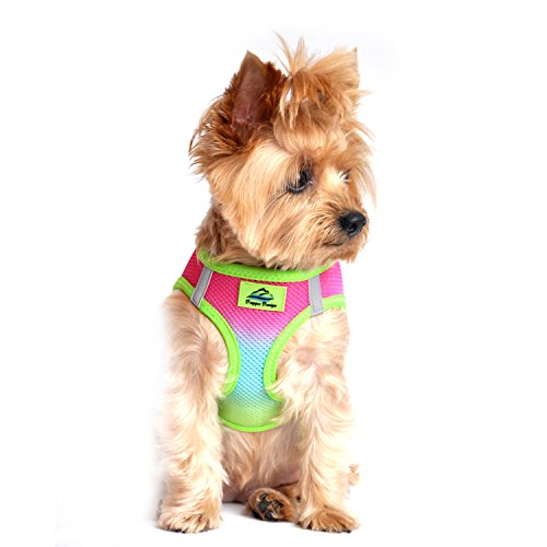 Doggie Design No Choke Dog Harness - Simple Step-In And Go Dog Vest For Small, Medium, And Large Breeds - Breathable Mesh Polyester Pet Harness - Rainbow - Xxs