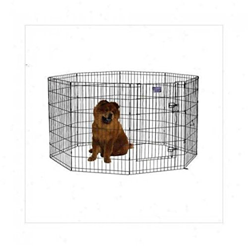 Midwest Homes For Pets Dog Exercise Pen & Playpen, 24'W X 42'H, With Door, Black