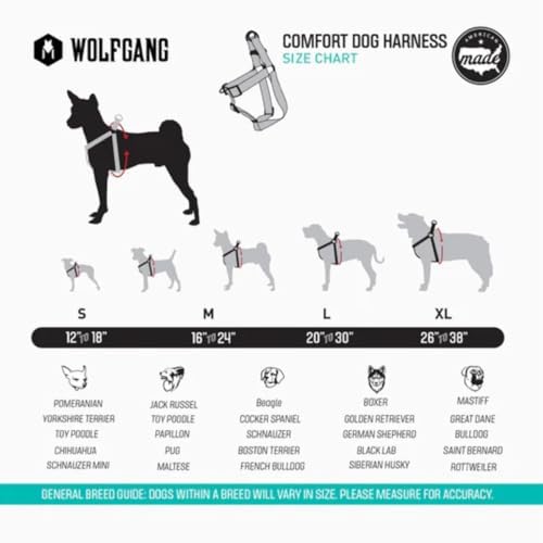 Wolfgang Heavy Duty Adjustable Dog Harness, Pull-Tested for Walking & Training, LazyDaisy Print, Medium