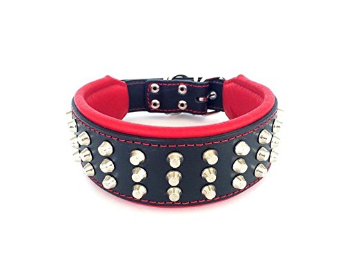 Bestia 'Stud Genuine Leather Big Dogs Collar. 2.5 Inch Wide. Soft Padded. Very Durable And Comfortable. Handcrafted Guaranteed. Pitbull. Cane Corso. Rottweiler. Bully. Amstaff.