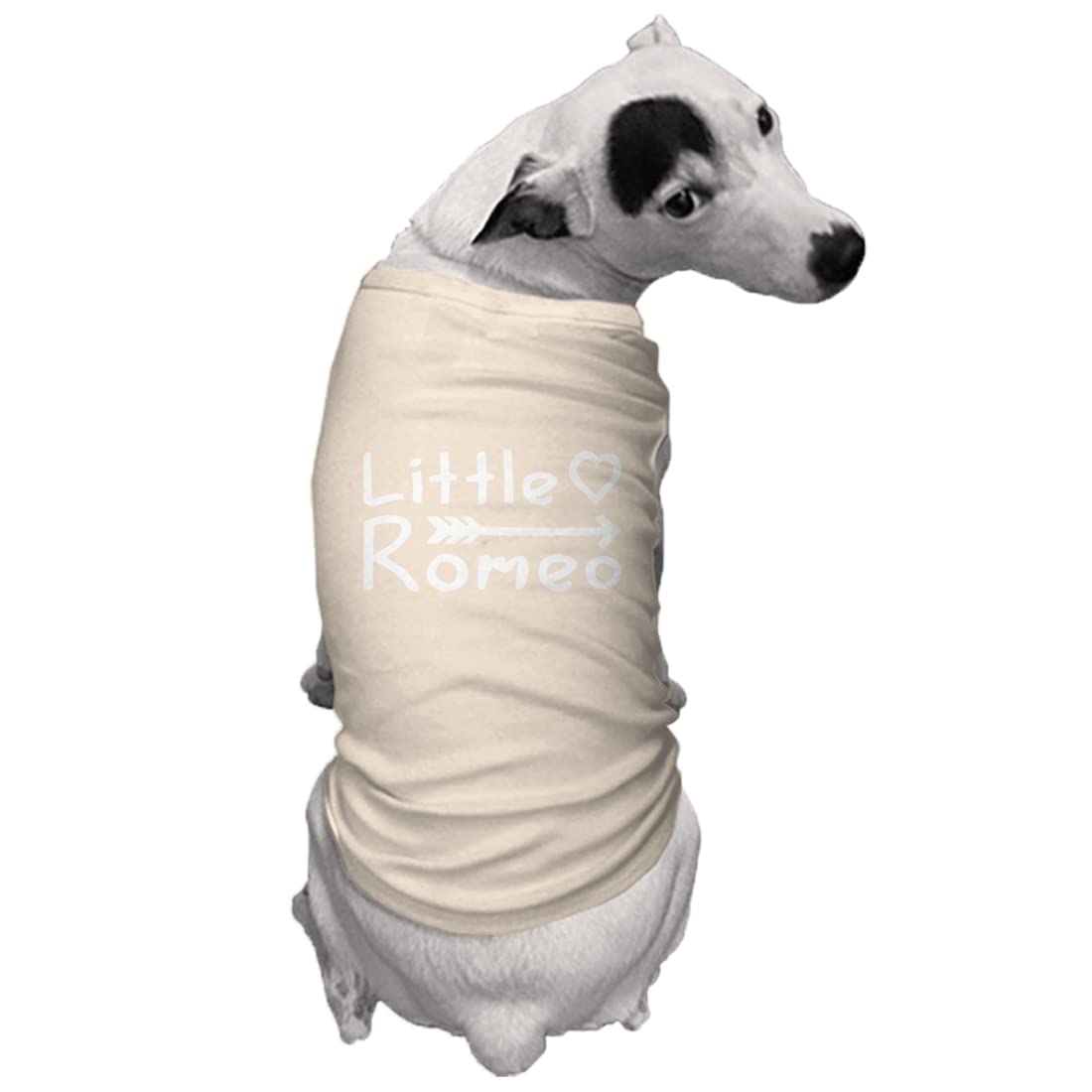 Little Romeo - Stud Handsome Cute Juliet Love Dog Shirt (Natural, X-Large)