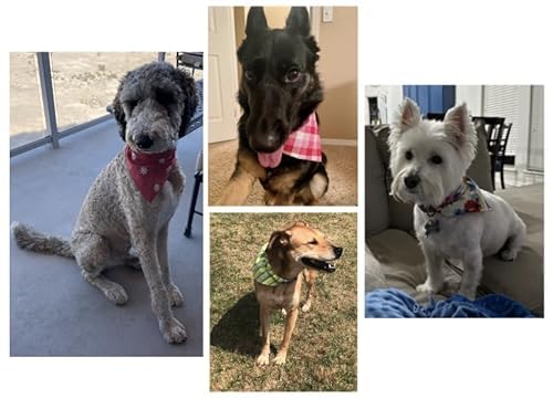 Birthday Dog Bandana | Colorful Dog Bandana | Blue | Plaid | Reversible Slip On Dog Bandana | Slip Over The Collar Bandana | For