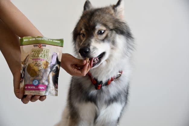 BOSDG TREATS DG PORK TRP (6x3.00)