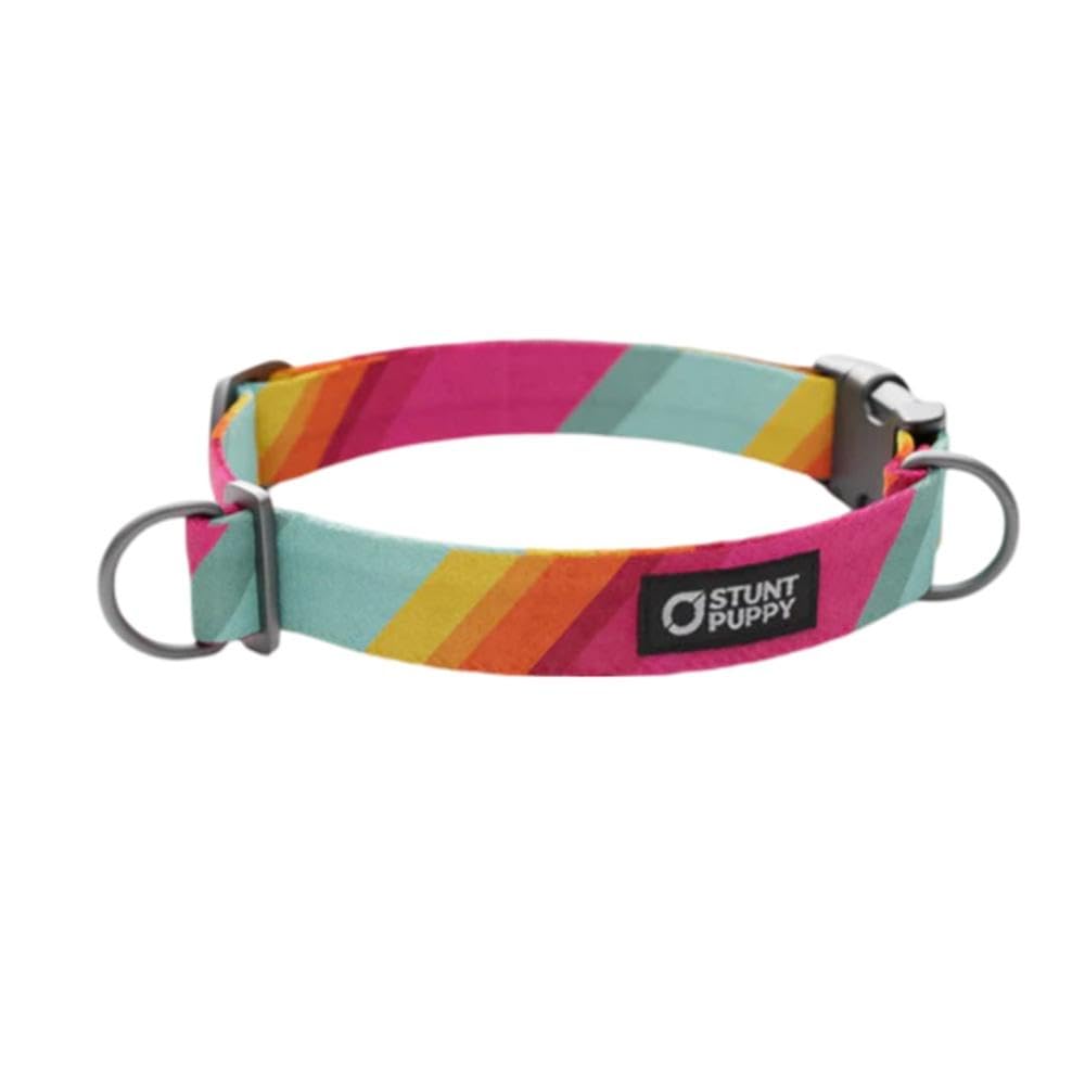 All Are Welcome Here Everyday Collar Medium
