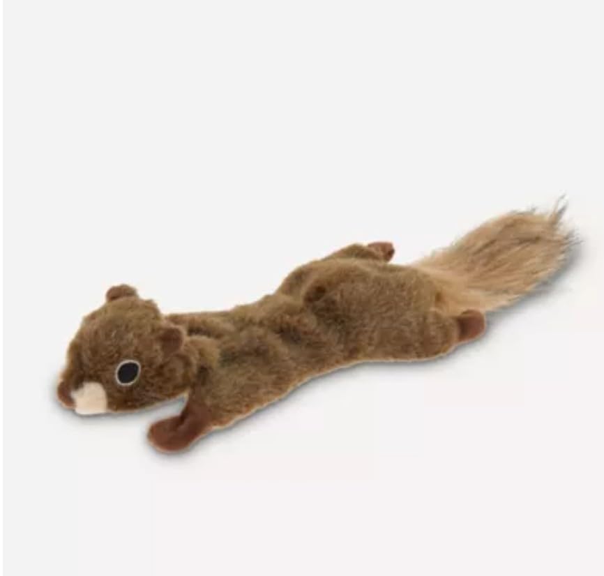 Joyhound Crazy Comfy Realistic Squirrel Flattie Dog Toy - Crinkle, Squeaker