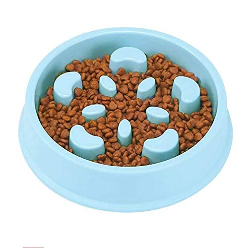 Petceptual Slow Feeder Dog Bowl For Puppy & Cats  Green (Color May Vary) (Blue)