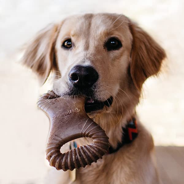 Benebone 2 Count (Pack Of 1) Wishbone/Dental Durable Dog Chew Toys, Real Bacon, Made In Usa, Small