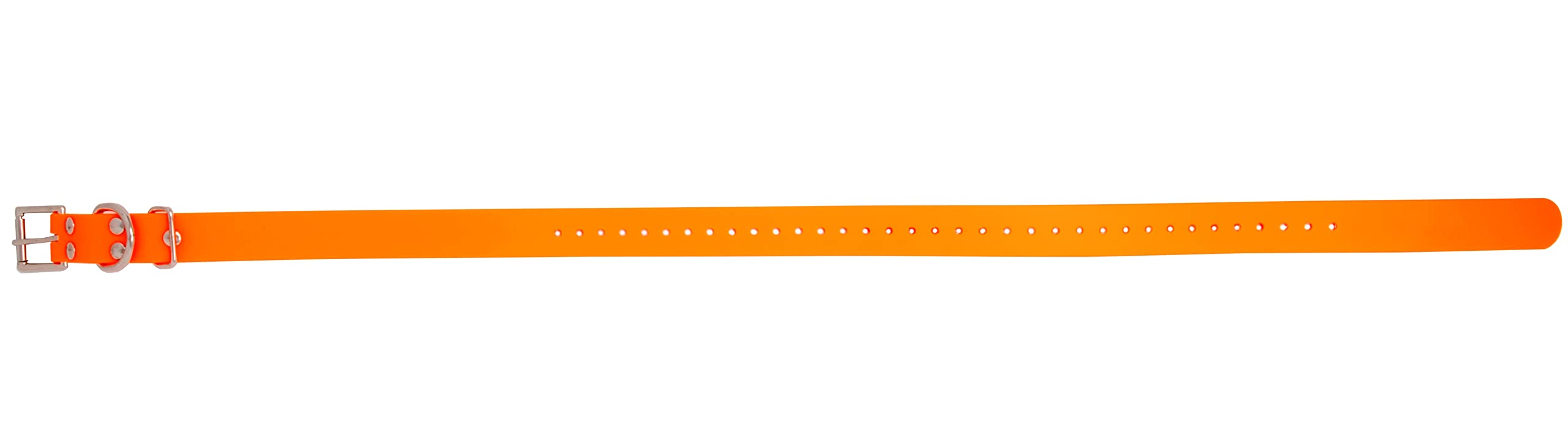Educator Biothane Dog Collar, Waterproof, Odorproof, Metal Buckle And D Ring, Adjustable For Custom Fit, Cool And Comfortable, For Small, Medium, Or Large Dogs, 1-Inch, Orange