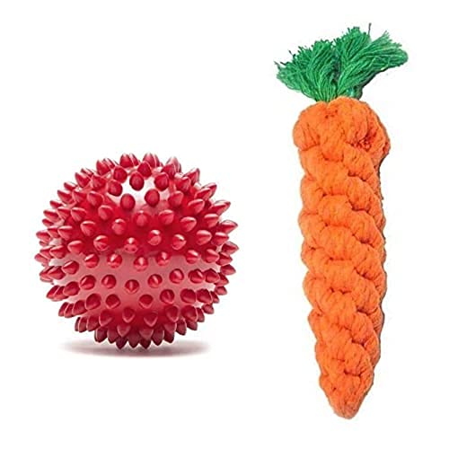 Woofy Ultra Durable Carrot Rope Dog Toy + Dog Hard Spike Red Ball For Dogs (Combo Of 2 Toys)