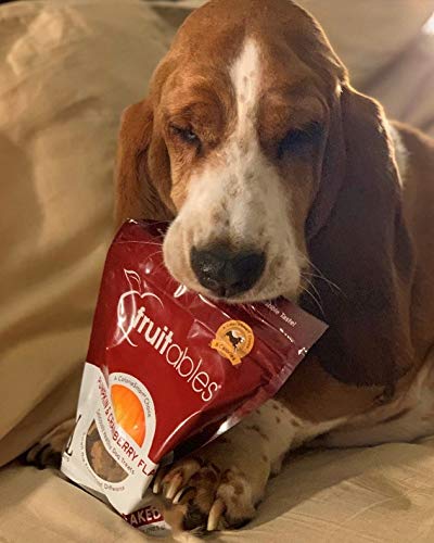 Fruitables Pumpkin Dog Treats, 7oz, Crunch Variety 12-Pack
