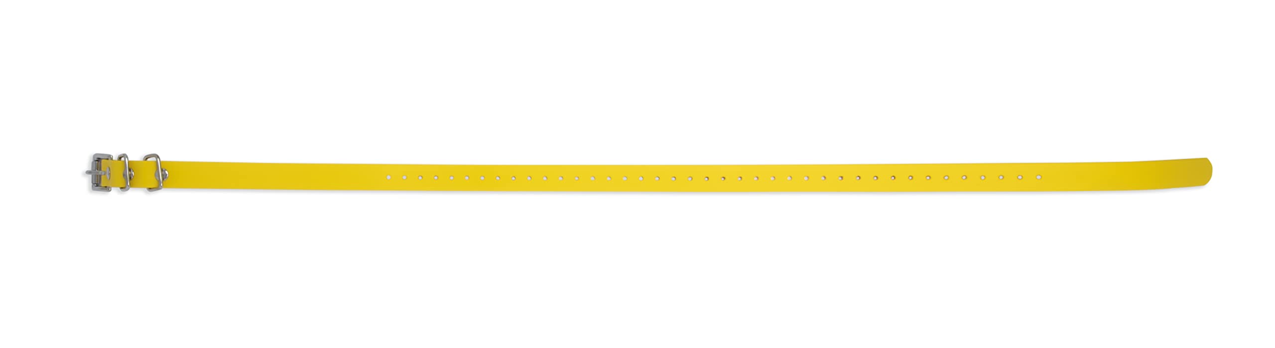 Educator Biothane Dog Collar, Waterproof, Odorproof, Metal Buckle And D Ring, Adjustable For Custom Fit, Cool And Comfortable, F