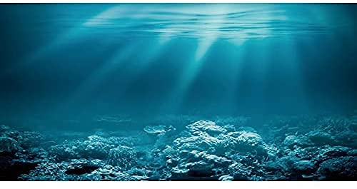 Awert 30X18 Inches Undersea Theme Aquarium Background Sunshine Underwater World Fish Tank Background Durable Polyester Backgroun