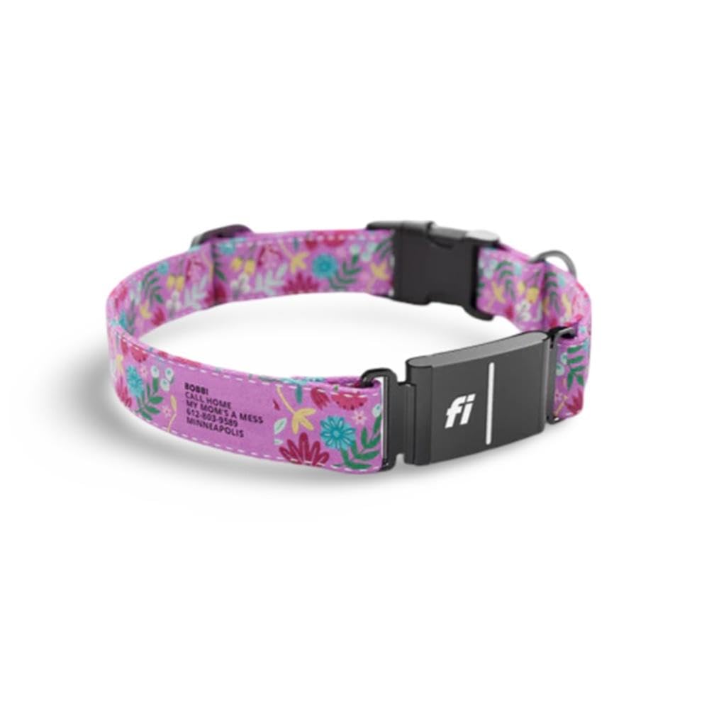 Stunt Puppy Dog Collar, Fi Series 3 Ready, Frolic Summer, Small - Compatible With Fi Gps Device (Not Included)