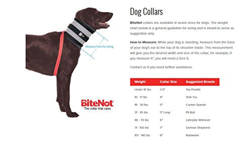 Bitenot Collar, 5 W X 21 L
