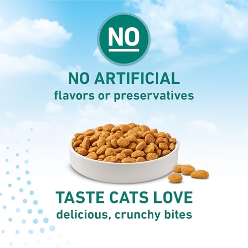 Purina ONE LiveClear Allergen-Reducing Cat Food Dry Formula with Real Chicken As The Number One Ingredient - 6.3 lb. Bag