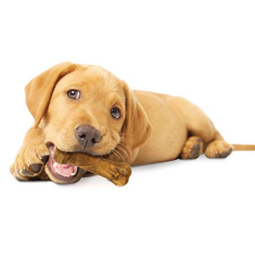 Nylabone Healthy Edibles Natural Puppy Chews Long Lasting Treats for Puppies, Lamb & Apple Flavor, Small/Regular (3 Count)