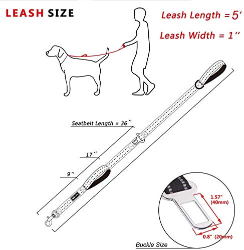 Poypet 5 Feet Dog Leash - 3M Reflective - 2 Cushioned Handles - Functional Car Seat Belt(Black)