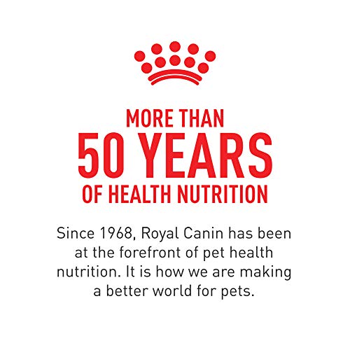 Royal Canin Canine Health Nutrition Puppy Loaf in Sauce Dog Food, 5.2 oz (Pack of 12)
