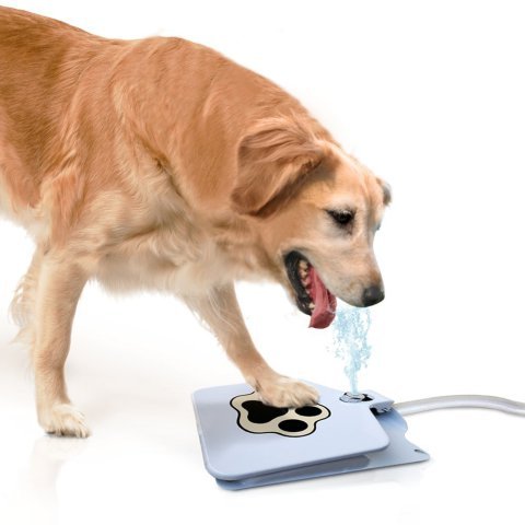 Pet Laugh Updated Version Dog Water Fountain Automatic Dog Waterer Step-On Outdoor Fresh Cold Drinking Water For Dogs, Updated V
