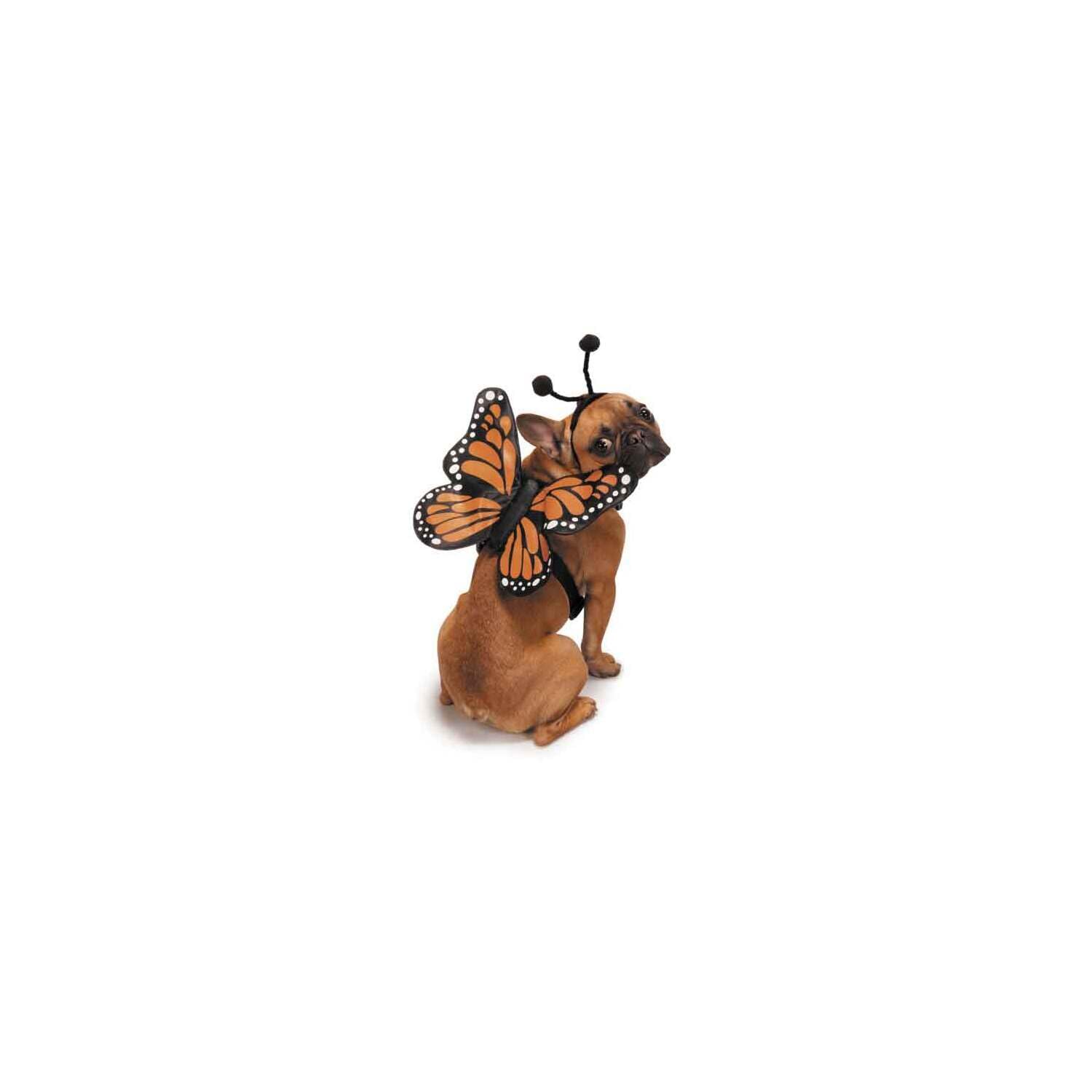 Zack & Zoey Butterfly Glow Harness Costume For Dogs, Small
