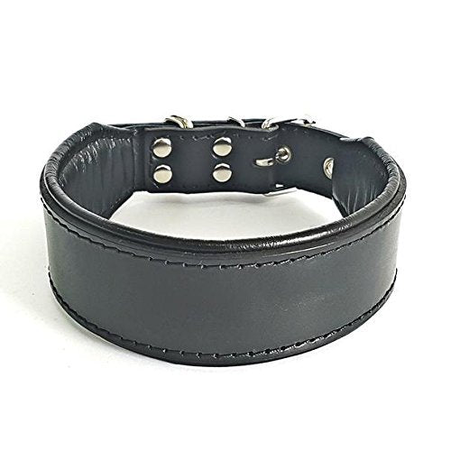 Bestia Classic Padded Leather Dog Collar. Hand Made in Europe. Up to 2 inch Width, 100% Leather, 7 Sizes