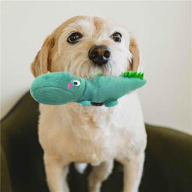 Jalousie Multipack Dog Squeaky Toys Dog Toy Bulk Dog Toy - Dog Toys For Pets Dogs For Small Medium Large Dogs (12 Pack Rope And