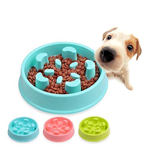 Dog Trust Slow Feeder Dog Bowl AntiSlip Pet Cat Puppy Food Dish Water Feeding Bowl1 Piece (Color May Vary) (Flower)