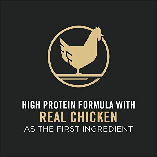 Purina Pro Plan LiveClear Dry Cat Food for Kittens Chicken & Rice Formula - 5.5 lb. Bag