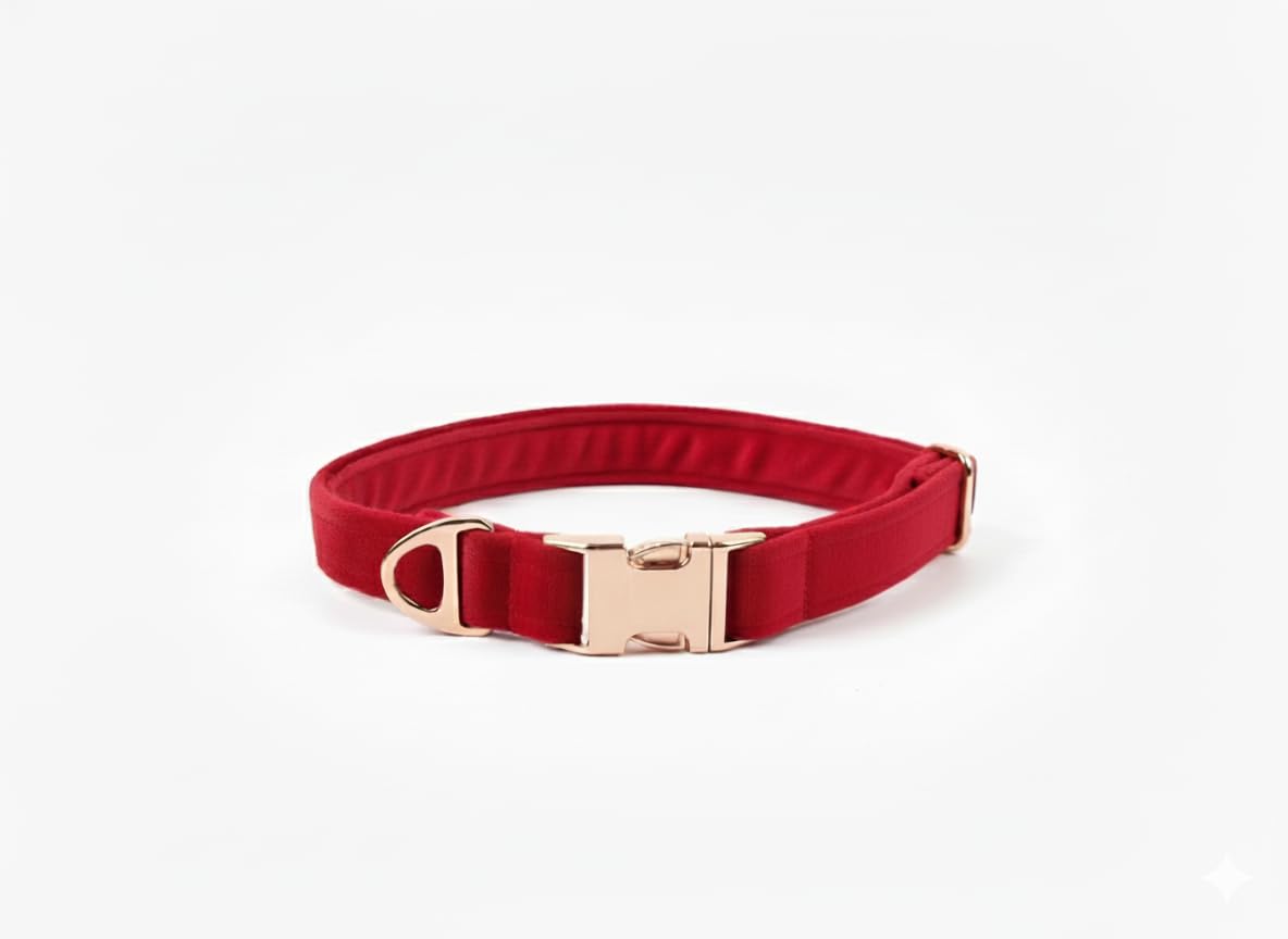 VanditaS Red Velvet Fabric Dog Collar With Imported Metal Fittings (Rose Gold, Medium  25 Mm)