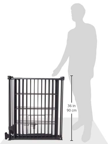 Super Gate / Yard