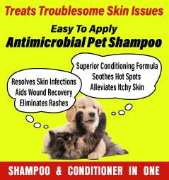 BANIXX Medicated Shampoo, 16 Fl. Oz - Soap-Free Marine Collagen for Pet Skin Yeast Infections, Ringworm, Dermatitis, Itchy Skin