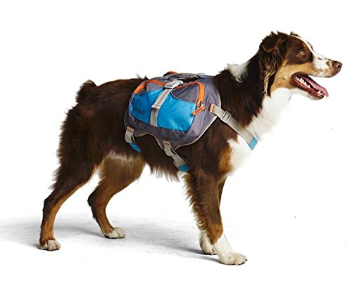 Cesar Millan Dog Backpack (Medium)