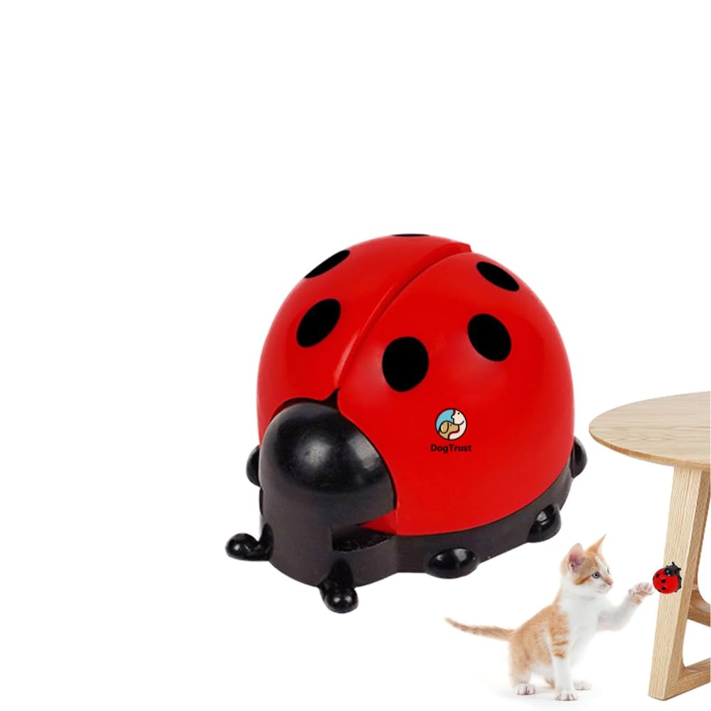 Dog Trust Natural Catnip Ladybird Balls For Cats  Rotatable SelfAdhesive Edible Catnip Toy For Chewing, Play, And Dental Healt