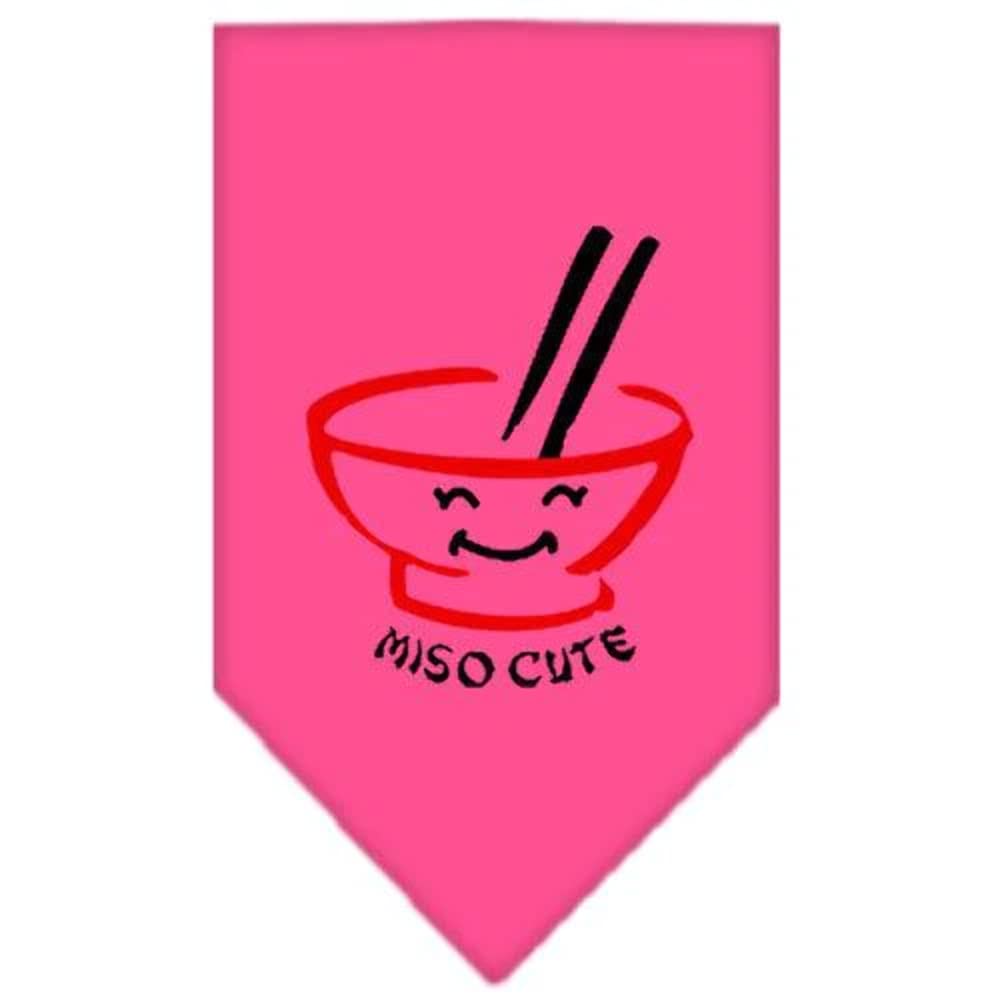 Mirage Pet Products Miso Cute Screen Print Bandana, Large, Purple