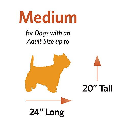 Midwest Homes For Pets Over-Stuffed Dog Bed Feat, Medium, 27 X 36, Medium Dog Breed, Green Geometric Pattern