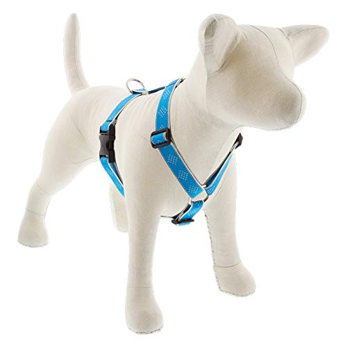 Lupine Reflective Adjustable Dog Harness 1'' Wide Blue Diamond with 20-32'' Girth
