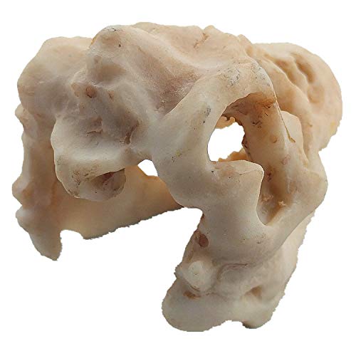 Mtghyare Dinosaur Aquarium Decorations Skull Aquarium Ornament Mini Dinosaur Mold Decoration Tank Reptile Hide Decor With Holes