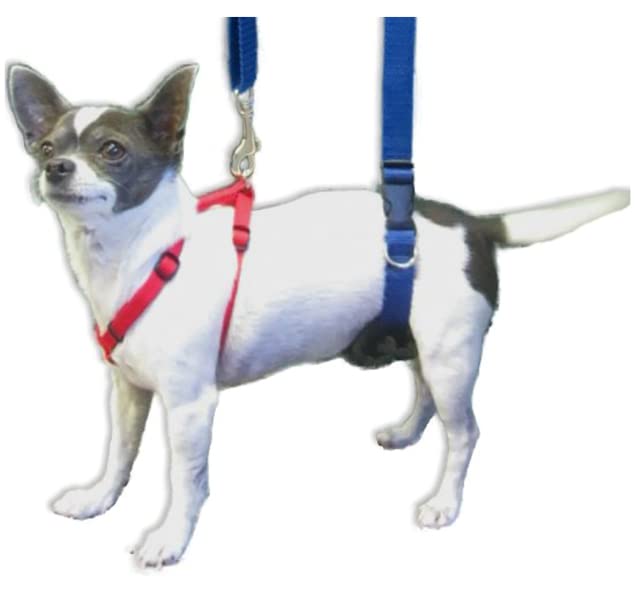 GINGERLEAD Dog Sling Hip Support Harness, X-Small Fits Little Pets Under 25 lbs and Dachshunds with IVDD, Spinal Disc Disease, o