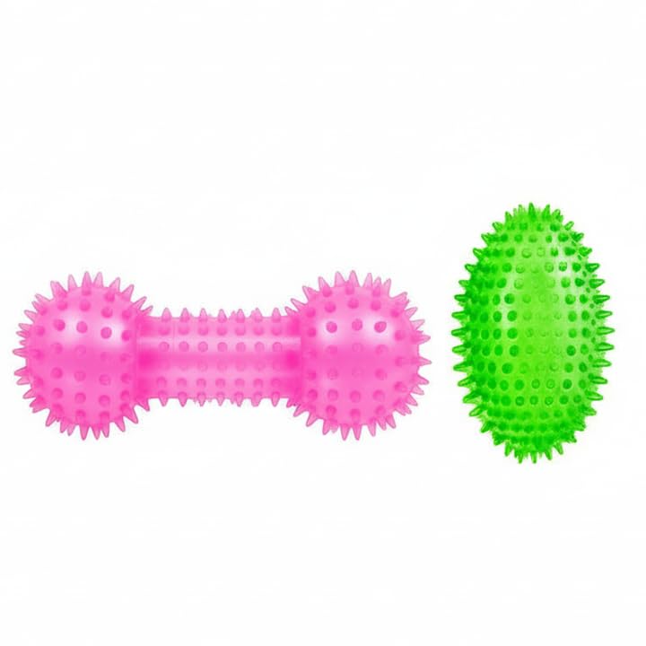 Petz R Us Pet Squeaky Chew Toy Dumbbell For Dogs  Durable, NonToxic Interactive Toy For Chewing, Playing, And Teeth CleaningM