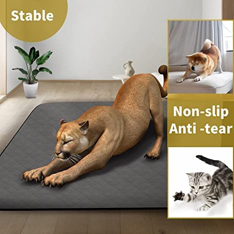 Coolshields Washable Puppy Dog Pee Pad, 34' X52' Extra Large, Waterproof Whelping Training Mat For Playpen Crate, Floor, Bed,Sofa And Trunk [Premium Fabrics That Can Be Used By Humans]
